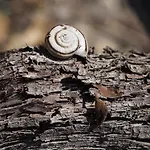 Хостел Tgantieni Sot - Haus Mit Herz Ленцерхайде