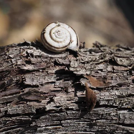 Хостел Tgantieni Sot - Haus Mit Herz Ленцерхайде